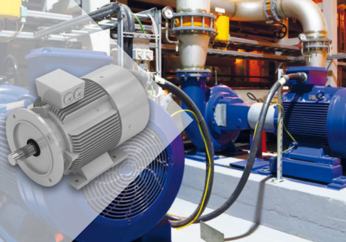 Motorenreihe 1TZ9 – IE4